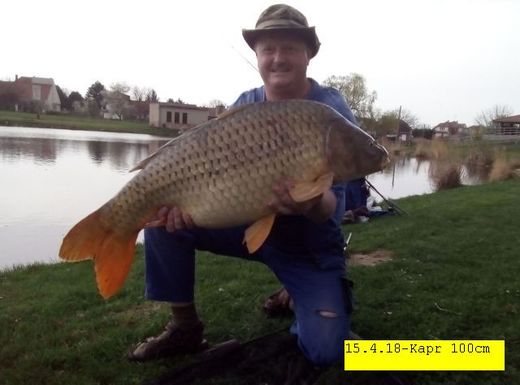 15.4.18-Kapr 100cm.jpg