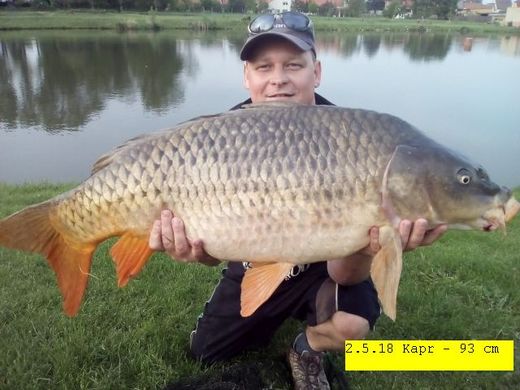 2.5.18 Kapr - 93 cm.jpg