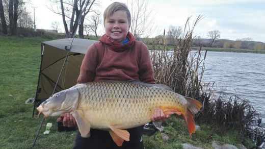 9. 95cm, 17 kg.jpg