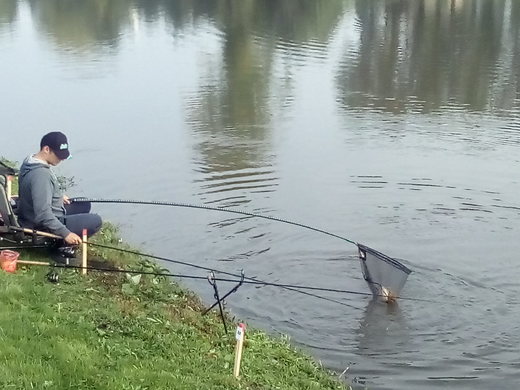 IMG_20180915_090240.jpg