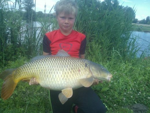 Kapr 90 cm 16 kg.jpg