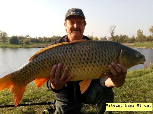 vítězný kapr 88 cm.jpg